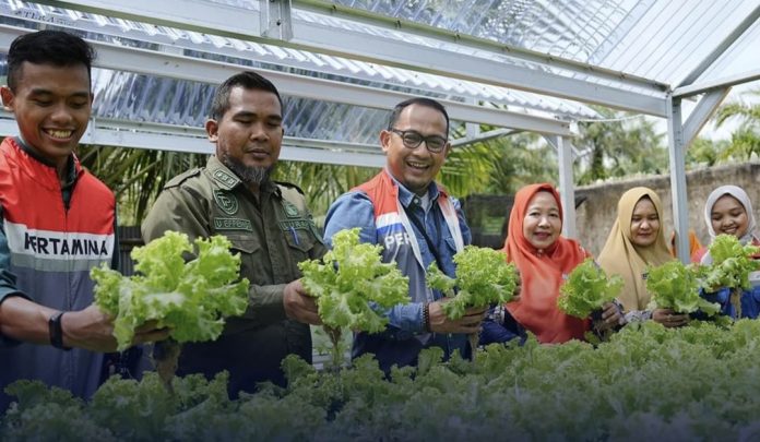 Dumai, 12 Juli 2024, Hidroponik telah menjadi tren pertanian di era modern dengan memanfaat lahan sempit yang ada pekarangan rumah Foto: Istagram Pertamina Dumai, 12 Juli 2024, Hidroponik telah menjadi tren pertanian di era modern dengan memanfaat lahan sempit yang ada pekarangan rumah Foto: Istagram Pertamina