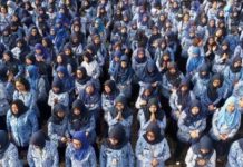 Pemerintah Siapkan 2.000 Formasi CPNS Khusus untuk Putra/Putri Kalimantan di Ibu Kota Nusantara Pemerintah Siapkan 2.000 Formasi CPNS Khusus untuk Putra/Putri Kalimantan di Ibu Kota Nusantara