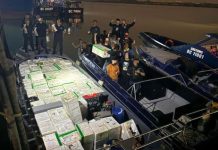 Bea Cukai Batam Gagalkan Penyelundupan 795.500 Benih Lobster Senilai Rp90 Miliar di Perairan Pulau Panjang Bea Cukai Batam Gagalkan Penyelundupan 795.500 Benih Lobster Senilai Rp90 Miliar di Perairan Pulau Panjang