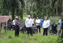Bupati Pasaman Barat Hamsuardi Tinjau Lokasi Rencana Pembangunan SD di Sungai Aur Bupati Pasaman Barat Hamsuardi Tinjau Lokasi Rencana Pembangunan SD di Sungai Aur