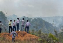 Pasca Pasang Spanduk Karhutla, Kini Hutan di Desa Kelong Bintan Alami Kebakaran Hebat Kebakaran Hutan di Bintan Kepri 1.jpg