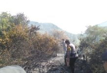 Kerja Cepat Tim Gabungan, Kebakaran Lahan di SMAN 1 Jemaja Berhasil Dipadamkan Kerja Cepat Tim Gabungan, Kebakaran Lahan di SMAN 1 Jemaja Berhasil Dipadamkan