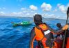 Pencarian Hari Ke-4: Tim SAR Gabungan Terus Berupaya Temukan Penyelam Teripang yang Hilang di Natuna Pencarian Hari Ke-4: Tim SAR Gabungan Terus Berupaya Temukan Penyelam Teripang yang Hilang di Natuna