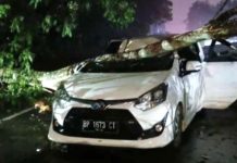 Badai Kammuri Hantam Pelabuhan dan Mobil Ditimpa Pohon di Tanjungpinang Badai Kammuri