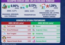 Agustus 2024, Inflasi Kepri 2,64 Persen Tapi Dua Kota Alami Deflasi Kepri: Inflasi Agustus 2024 Terjaga