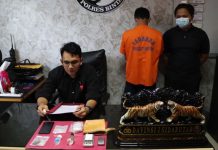 Bebas 2021, Buruh Serabutan Kembali Dibekuk Kasus Sabu dan Ganja di Telok Sebong Bintan Sabu dan Ganja