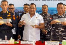 Bareskrim Polri Kejar Mafia Penyelundupan Benih Lobster Senilai Rp 23,8 Miliar Bareskrim Polri Kejar Mafia Penyelundupan Benih Lobster Senilai Rp 23,8 Miliar