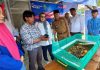 XL Axiata Terapkan Solusi IoT Budidaya Maggot di Pesantren Lampung XL Axiata Terapkan Solusi IoT Budidaya Maggot di Pesantren Lampung