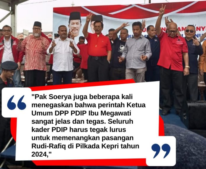 PDIP dukung Rudi-Rafiq