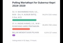 Polling Media: Rudi-Rafiq Masih Unggul Sementara di Pilkada Kepri 2024