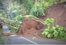 Diguyur Hujan Selama Tiga Hari, Sejumlah Ruas Jalan Di Pasaman Longsor, Satu Jembatan Hanyut