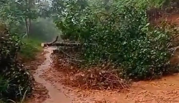 Warga Diminta Waspada, Jalan Lubuk Sikaping-Tigo Nagari Warga Diminta Waspada, Jalan Lubuk Sikaping-Tigo Nagari