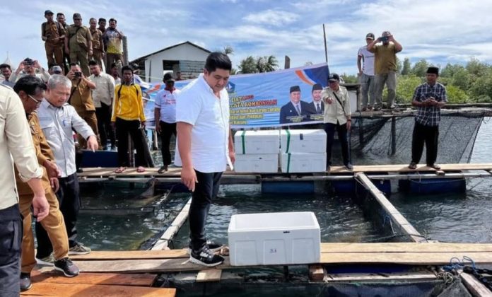 Bupati Roby dan Kerapu Cantang