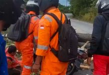 Pengendara di Karimun Terluka Akibat Tertimpa Pohon Besar saat Berangkat Kerja