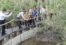 Rutan Karimun Berdayakan Habitat Alami Kepiting Bakau Kepiting Bakau