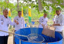 Wujud Akselerasi Ketahanan Pangan Nasional, Rutan Karimun Panen Puluhan Kilogram Lele