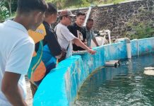 Komitmen PT Timah Budidayakan Ikan, Gandeng BPBL Batam Gelar Pelatihan Pokdakan Tuah Bersatu