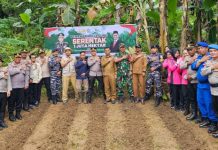 Sukseskan Ketahanan Pangan Nasional, Polres Anambas Gelar Penanaman Jagung Serentak