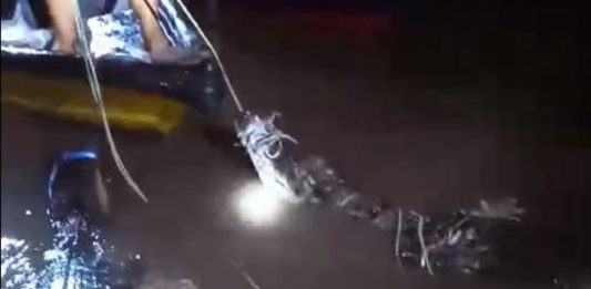 Warga Tangkap Buaya PT PKJ Lepas