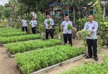 Akselerasi KPN, Rutan Karimun Panen Kangkung di Kebun Sarana Asimilasi