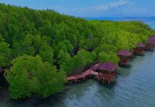 Kesepakatan Pemdes dan Warga Moro Nihil, Afrizal: Jangan Beraktivitas di Hutan Bakau