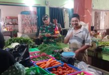 Komsos Babinsa Koptu Pardenande Cek Harga Ikan di Pasar Desa Tarempa Barat Komsos Babinsa Koptu Pardenande Cek Harga Ikan di Pasar Desa Tarempa Barat