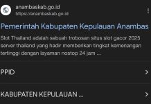 WASPADA, Website Pemkab Anambas Diserang Hacker Judi Online