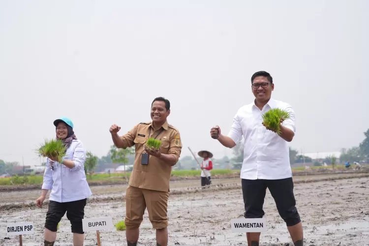 Sudaryono