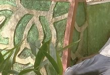 Pria Tanpa Identitas Ditemukan Tewas di Taman Hijau Karimun Taman Hijau Karimun