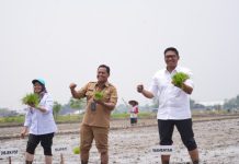 Wakil Menteri Pertanian Tegaskan Komitmen Jaga Kualitas Beras untuk Masyarakat Wakil Menteri Pertanian (Wamentan) Republik Indonesia, Sudaryono menggelar kunjungan kerja di Desa Sekaran, Kecamatan Wonosari, Senin (23/9/2024).