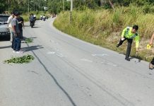 Pengendara Motor di Karimun Tewas Setelah Menabrak Rocky Kecelakaan lalu lintas kembali terjadi yang mengakibatkan seorang pengendara sepeda motor tewas di Jalan Kampung Harapan