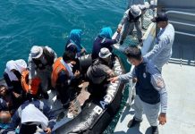 Bakamla RI Bersama Coast Guard 2 Negara Evakuasi 30 Korban Kapal Tenggelam Bakamla RI Bersama Coast Guard 2 Negara Evakuasi 30 Korban Kapal Tenggelam