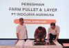 Bisnis Ayam Petelur Mengiurkan di Kepri, Setahun Komsumsi Telur capai 45 Ribu Ton per Tahun Bisnis Ayam Petelur Mengiurkan di Kepri PT Japfa di Bintan