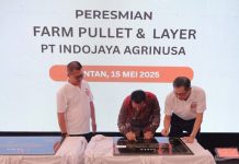 Bisnis Ayam Petelur Mengiurkan di Kepri, Setahun Komsumsi Telur capai 45 Ribu Ton per Tahun Bisnis Ayam Petelur Mengiurkan di Kepri PT Japfa di Bintan