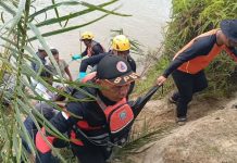 Korban Diterkam Buaya di Pasaman Barat Berhasil Ditemukan Dalam Kondisi Meninggal Dunia