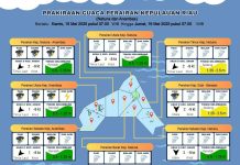 Prakiraan Cuaca Kepri 15 Mei 2025, Berpotensi Hujan Ringan dan Angin Kencang Prakiraan Cuaca Kepri 15 Mei 2025