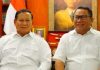 Presiden Prabowo Tugaskan Fary Francis Hadiri Pelantikan Paus Leo XIV di Vatikan Presiden Tugaskan Fary Francis Hadiri Pelantikan Paus Leo XIV