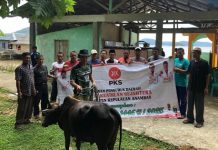 Anggota DPRD Anambas Fraksi PKS, Sumbang 1 Ekor Sapi Kurban untuk Warga Dusun Palah