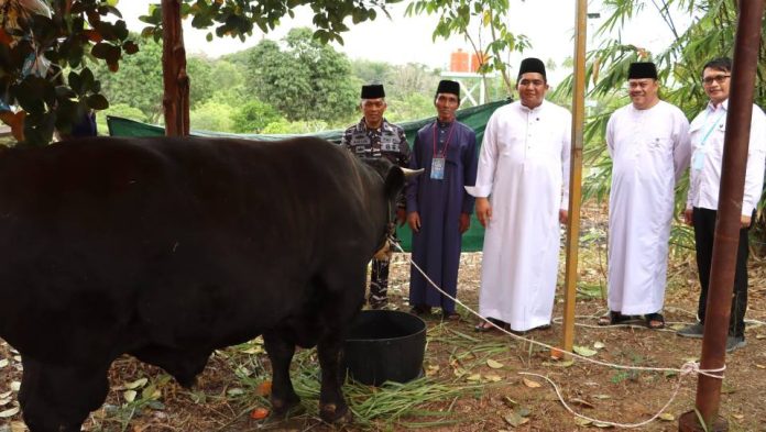 Bupati Bintan Serahkan Sapi Kurban Presiden Prabowo di Kampung Sekera Tanjung Uban