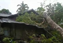 Diterjang Angin Badai, Pohon Jengkol Tumbang Timpa Rumah Warga di Bintan Utara Diterjang Angin Badai, Pohon Jengkol Tumbang Timpa Rumah Warga di Bintan Utara