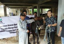 TJK Power Batam Kembali Salurkan 6 Sapi Kurban untuk 2.000 an Warga Sei Kasam
