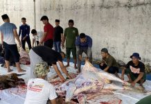 Merajut Tali Silaturahmi, Rutan Karimun Sembelih Hewan Kurban Wujud Solidaritas Antar WBP