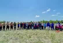 Jaga Ekosistem Pesisir, PT Timah Gandeng HNSI Bangka Tanam Ribuan Bibit Mangrove