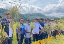 Bupati Anambas Sukses Wujudkan Astacita Presiden RI Melalui Panen Raya di Perbatasan Negara Bupati Anambas Sukses Wujudkan Astacita Presiden RI Melalui Panen Raya di Perbatasan Negara