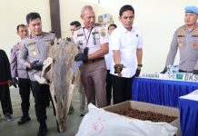 Ditreskrimsus Polda Kepri Ungkap Sejumlah Kasus Penyelundupan Satwa dan BBM Subsidi Ditreskrimsus Polda Kepri Ungkap Sejumlah Kasus Penyelundupan Satwa dan BBM Subsidi