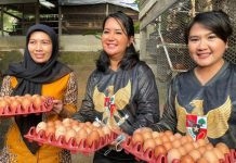 Ketua IKKT Pragati Wira Anggini CBS II, Mia Kunto Arief Kunjungi Kandang Ayam Lanal Tarempa Ibu Mia Kunto Arief Kunjungi Kandang Ayam Lanal Tarempa