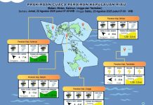 BMKG: Waspada Gelombang Sedang di Perairan Kepri 22–25 Agustus 2025 Waspada Gelombang Sedang di Perairan Kepri 22–25 Agustus 2025