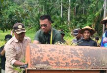 Bupati Aneng Terlihat Bahagia Hadiri Panen Raya Padi di Desa Rewak Anambas Bupati Aneng Bersemangat Hadiri Panen Raya Padi di Desa Rewak Anambas