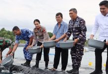 Bupati Roby Tabur Benih Udang Vaname di Tambak Ketahanan Pangan Lanal Bintan, Proyeksi Panen 4,2 Ton Bupati Roby Tabur Benih Udang Vaname di Tambak Ketahanan Pangan Lanal Bintan, Proyeksi Panen 4,2 Ton