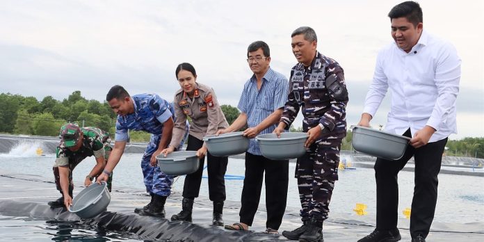 Bupati Roby Tabur Benih Udang Vaname di Tambak Ketahanan Pangan Lanal Bintan, Proyeksi Panen 4,2 Ton